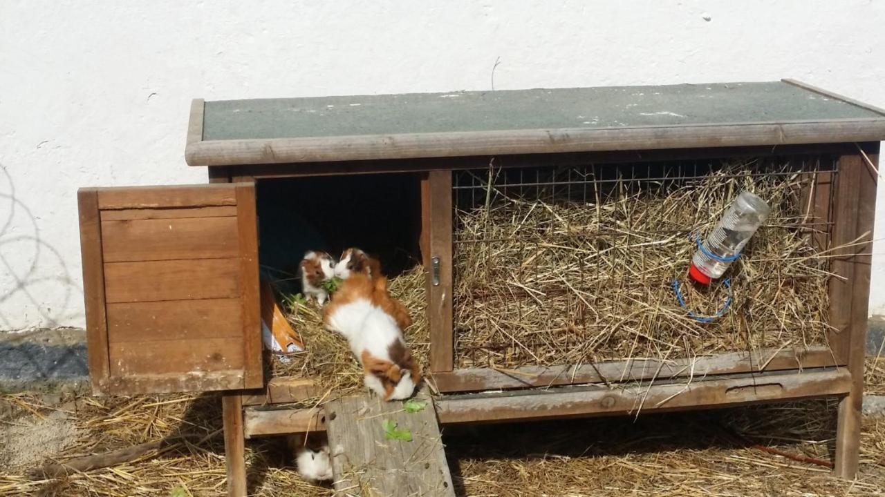 Mobilheim Seezauber Uttendorf Bagian luar foto